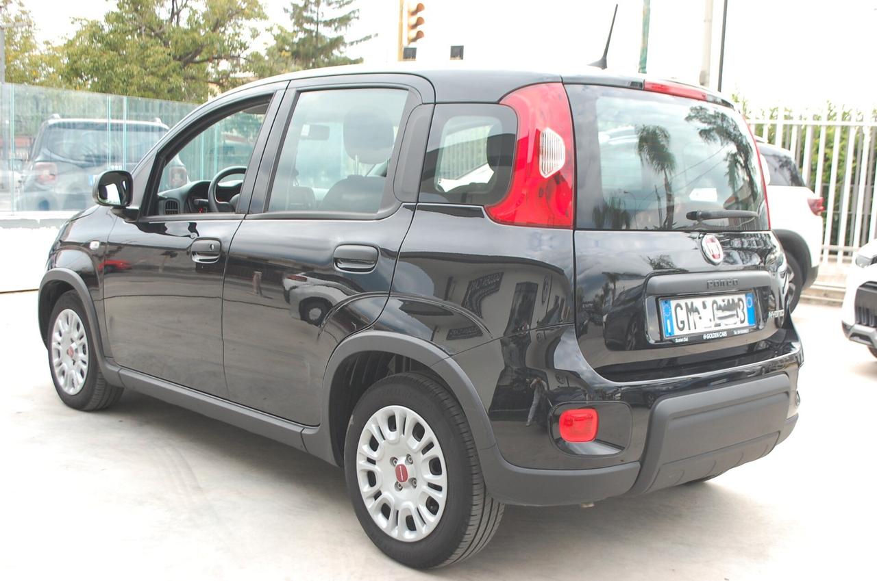 Fiat Panda 1.0 firefly 70CV hybrid City Life S&S Uff Italy