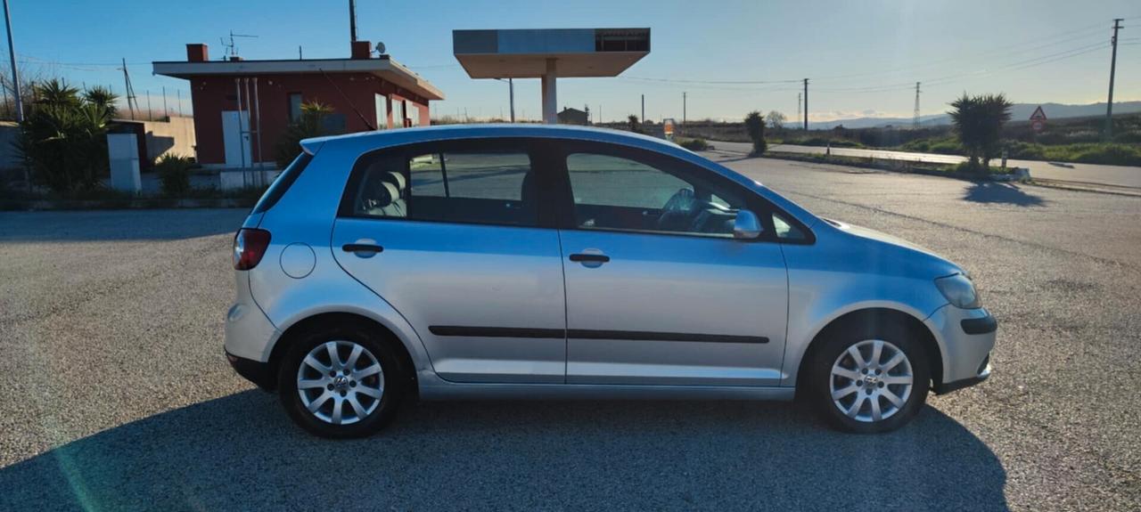 Volkswagen Golf Plus 1.9 TDI/101 CV cat Var. Comfortline