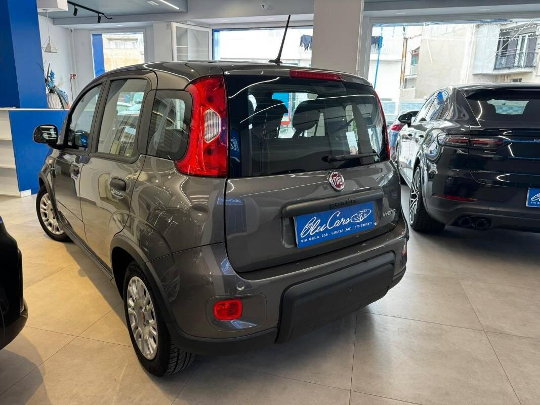 Fiat Panda III 1.0 firefly hybrid City Life s&s 70cv