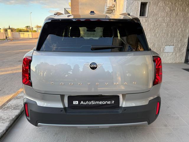 MINI Countryman D Classic Countryman CERCHI DA 19''