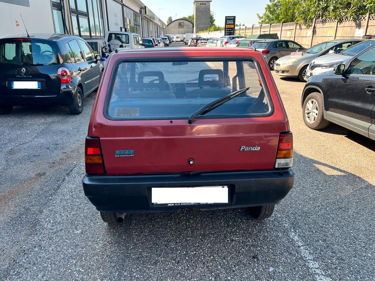 Fiat Panda 900 i.e. cat Young