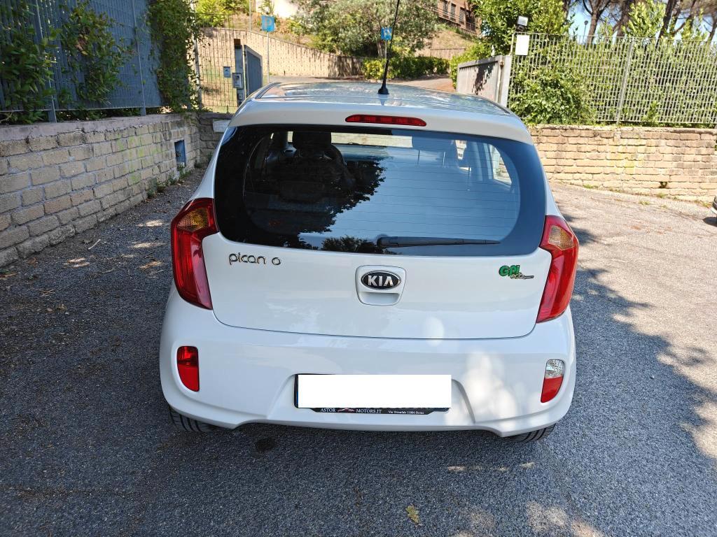 Kia Picanto 5 Porte Picanto 1.0 City Gpl 5p my13