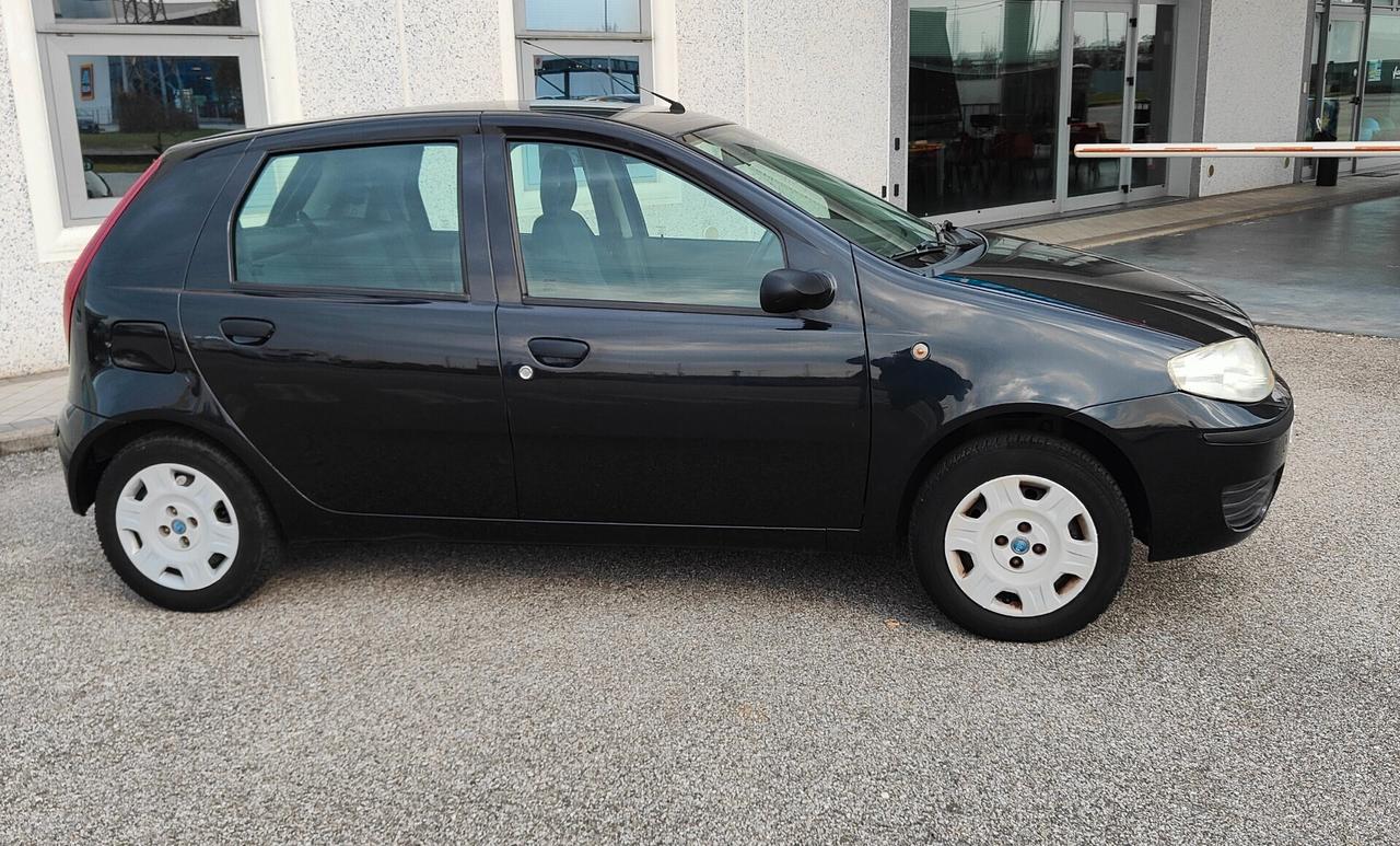 Fiat Punto 1.2 5 porte Actuel Benzina
