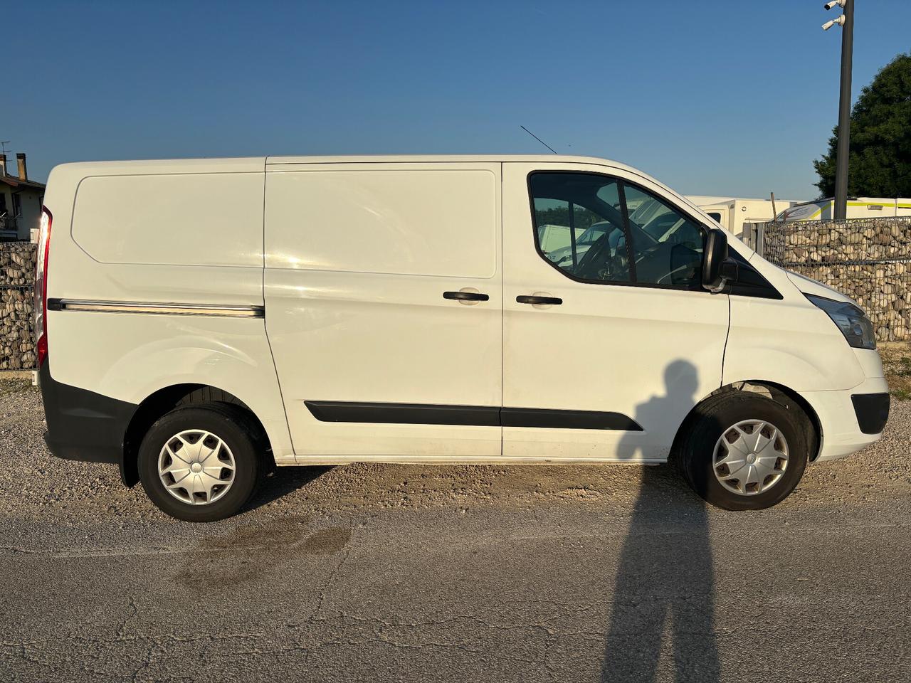 Ford Transit 290 2.0TDCi EcoBlue 130CV PM-TM Furgone Entry