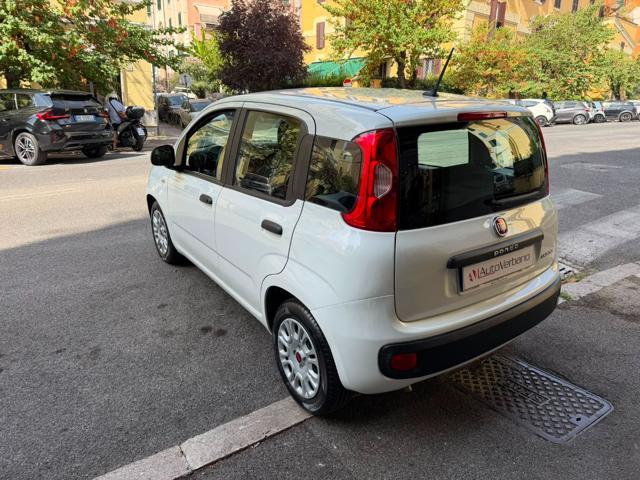 FIAT Panda 1.0 FireFly S&S Hybrid Easy-Nuovissima
