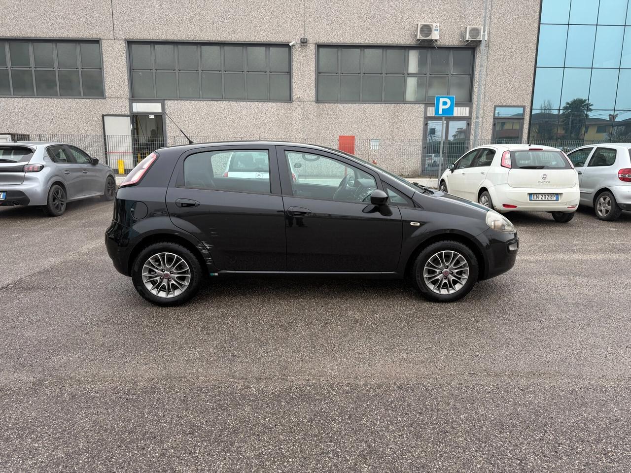 Fiat Punto Evo Punto Evo 1.2 5 porte S&S Dynamic