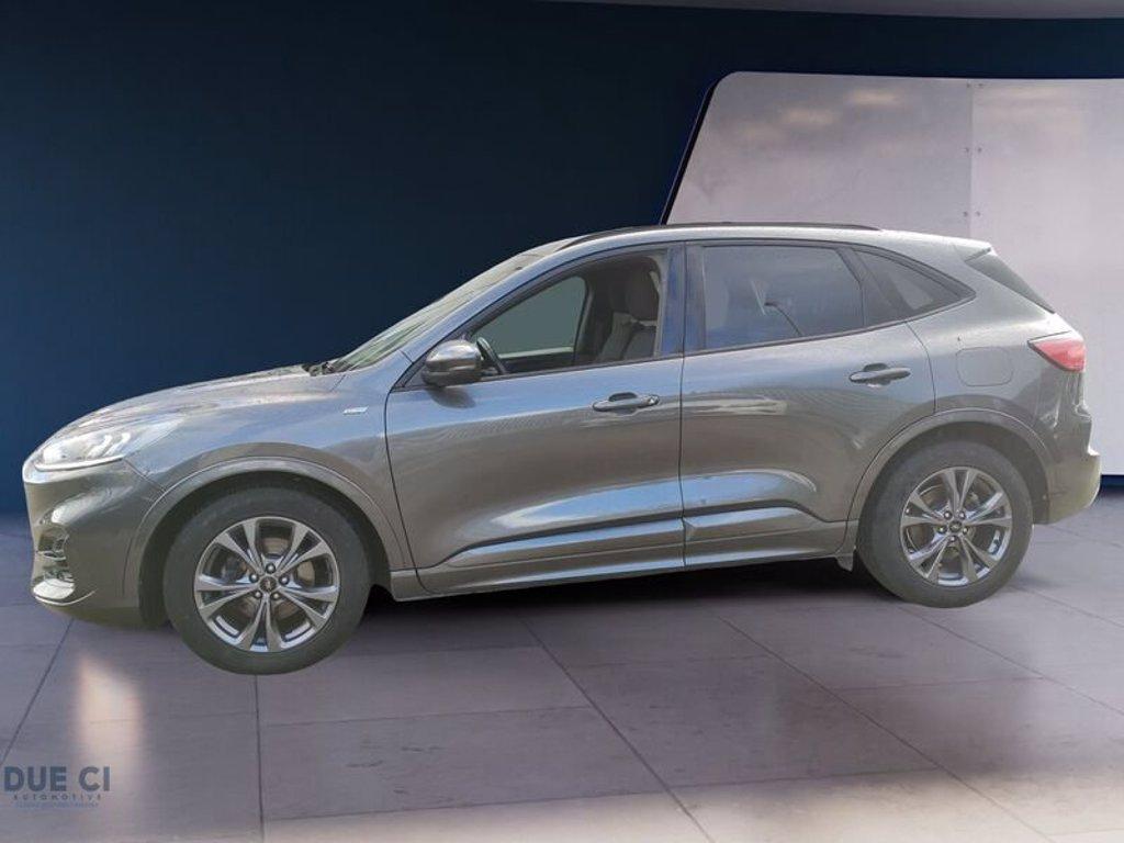 FORD Kuga 2.0 EcoBlue 120 CV aut. 2WD ST-Line del 2024