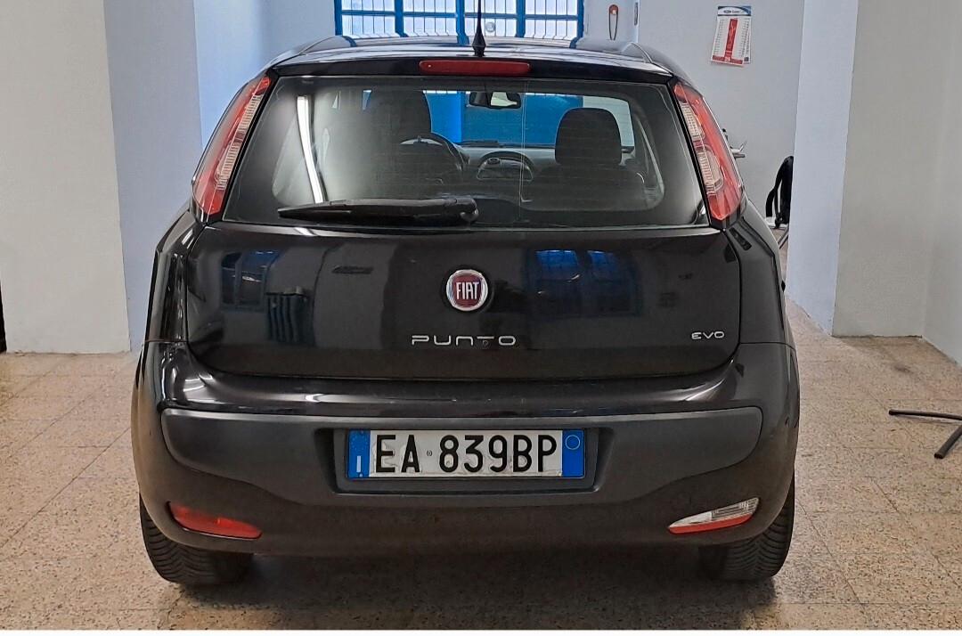Fiat Punto Evo 1.4 M.Air 105cv NEOPATENTATI
