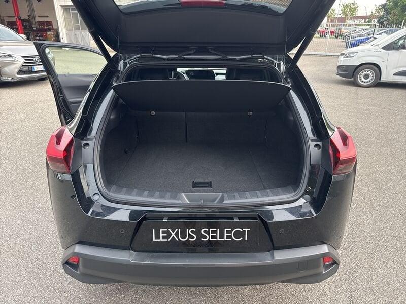 Lexus UX UX 250 Hybrid 4WD Midnight
