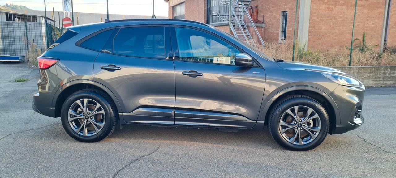 Ford Kuga 2.5 Plug In Hybrid 225 CV CVT 2WD ST-Line