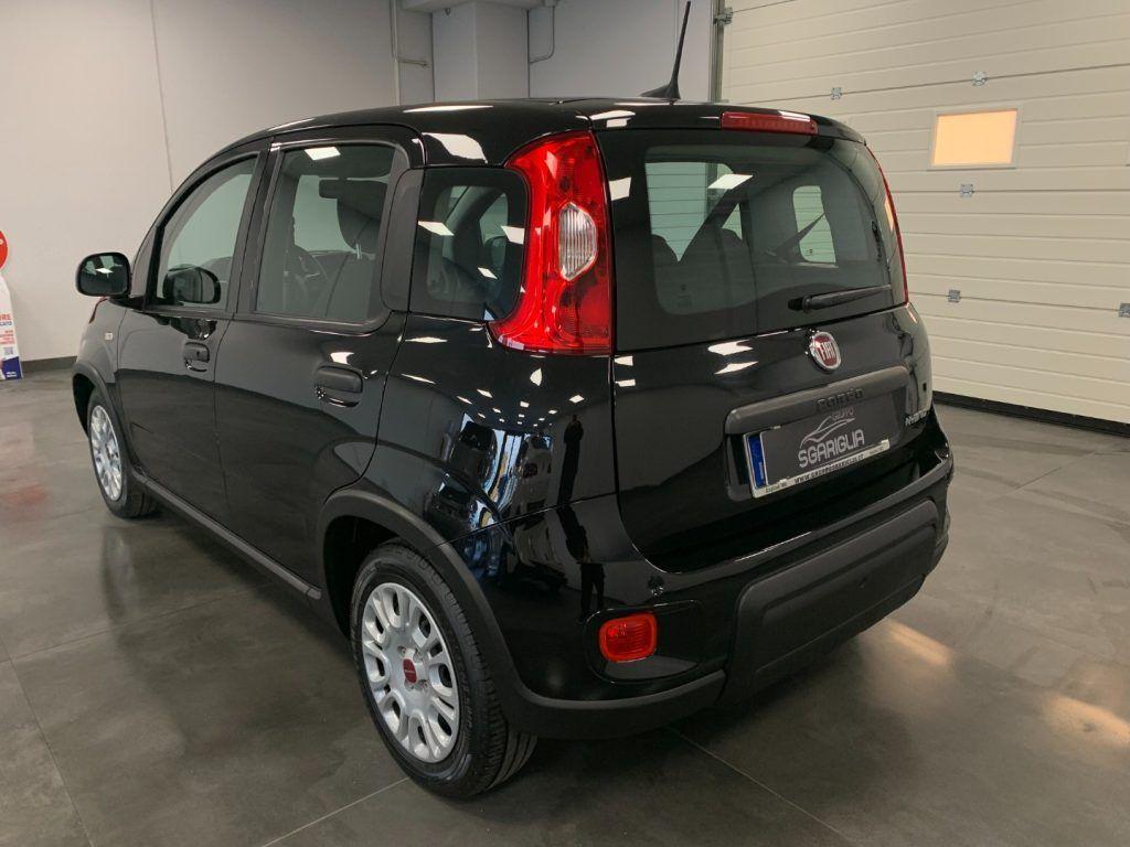 Fiat Panda 1.0 Benzina Hybrid City Life