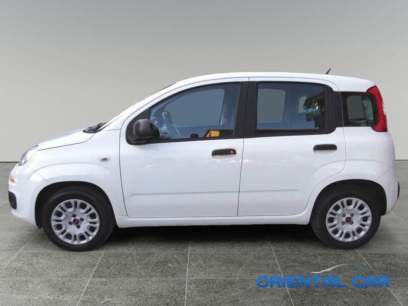 FIAT Panda Panda 1.2 EasyPower Easy A GPL CON SOLO 51.000 KM. MOLTO BELLA