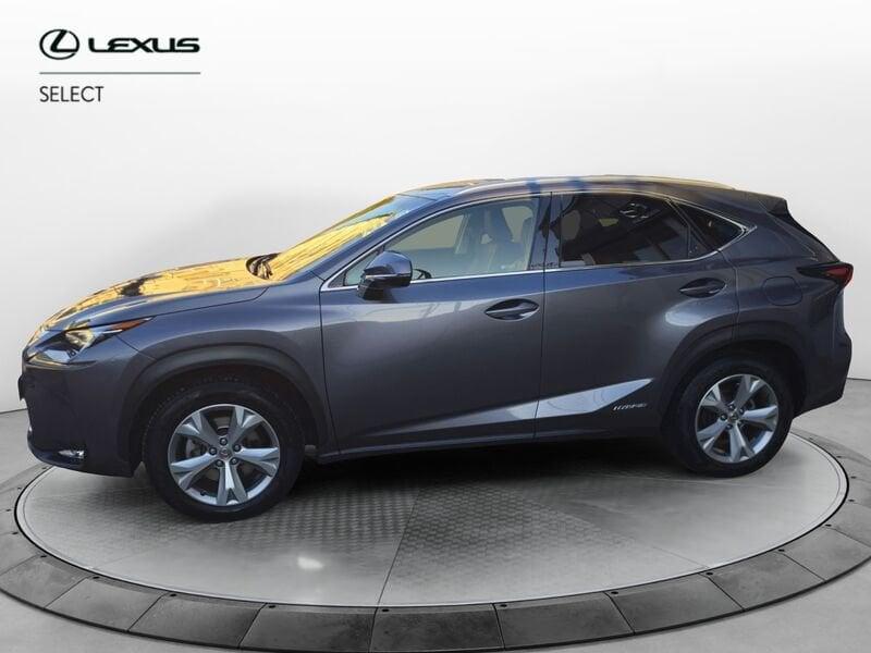 Lexus NX NX Hybrid 4WD Luxury