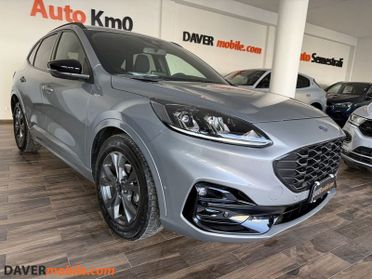 Ford Kuga 2.0 EcoBlue Hybrid 150 CV 2WD ST-Line