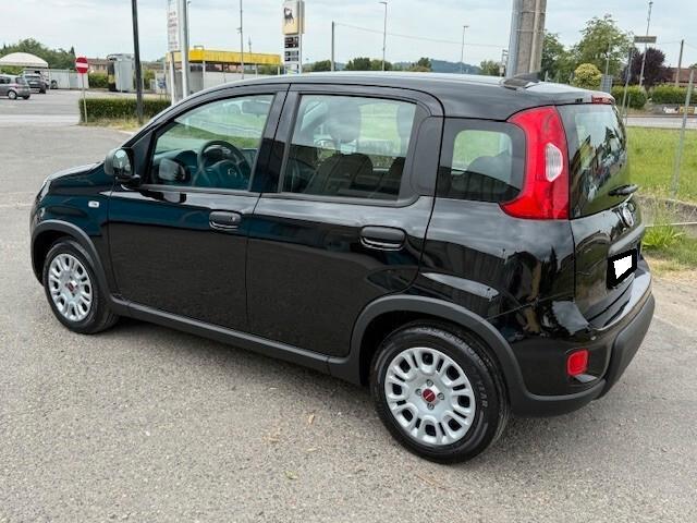 Fiat Panda aziendale iva esposta