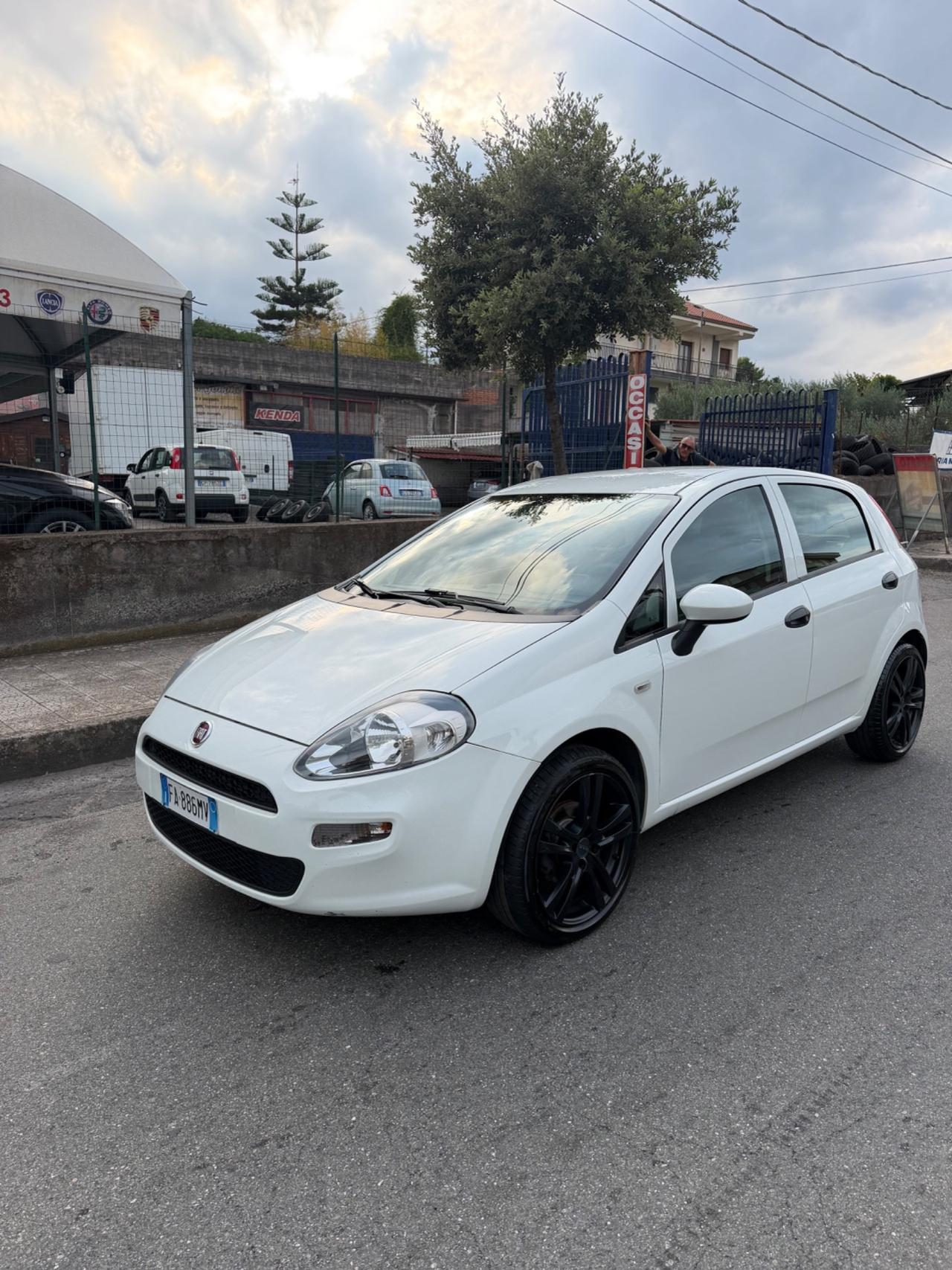 Fiat Punto 1.3 MJT II 75 CV 5 porte Street