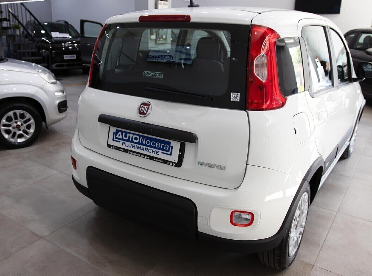 Fiat Panda 1.0 Hybrid 70cv City Life