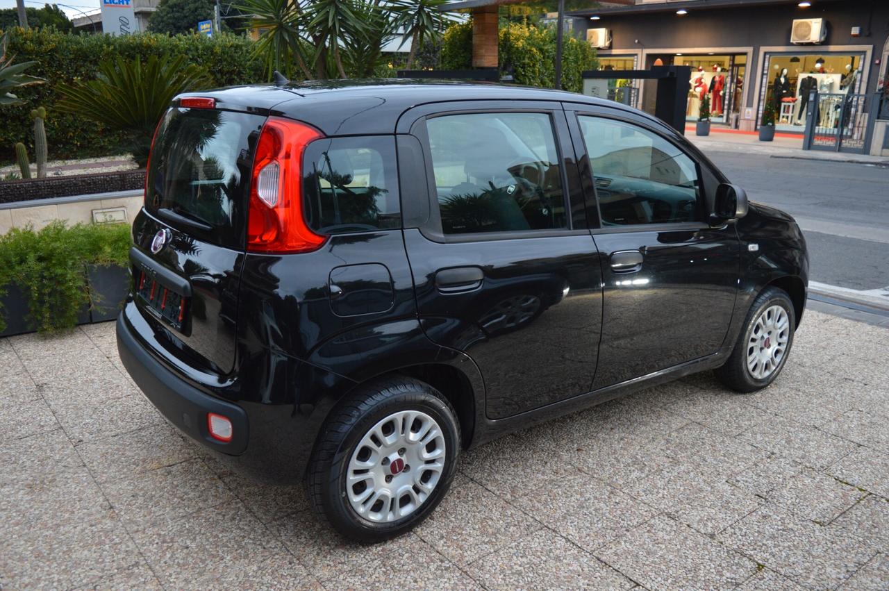 Fiat Panda 1.2 Lounge Business