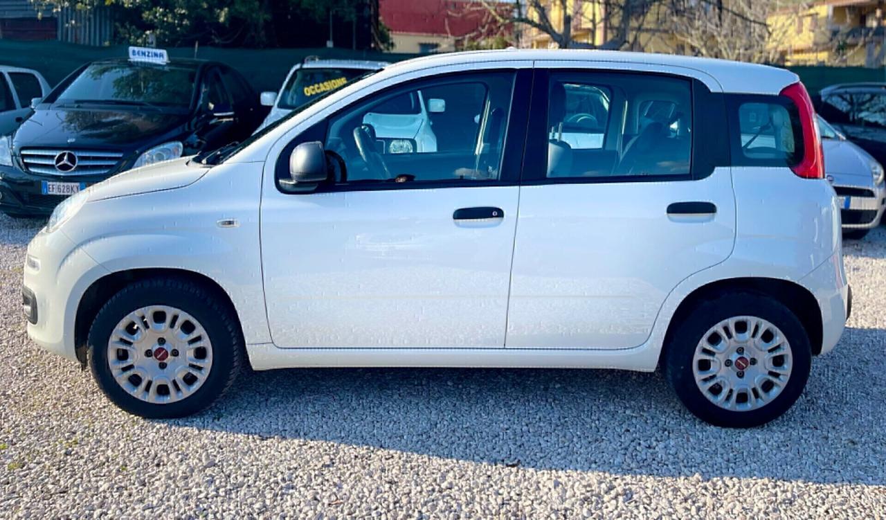 Fiat Panda 1.2 Benzina 2018