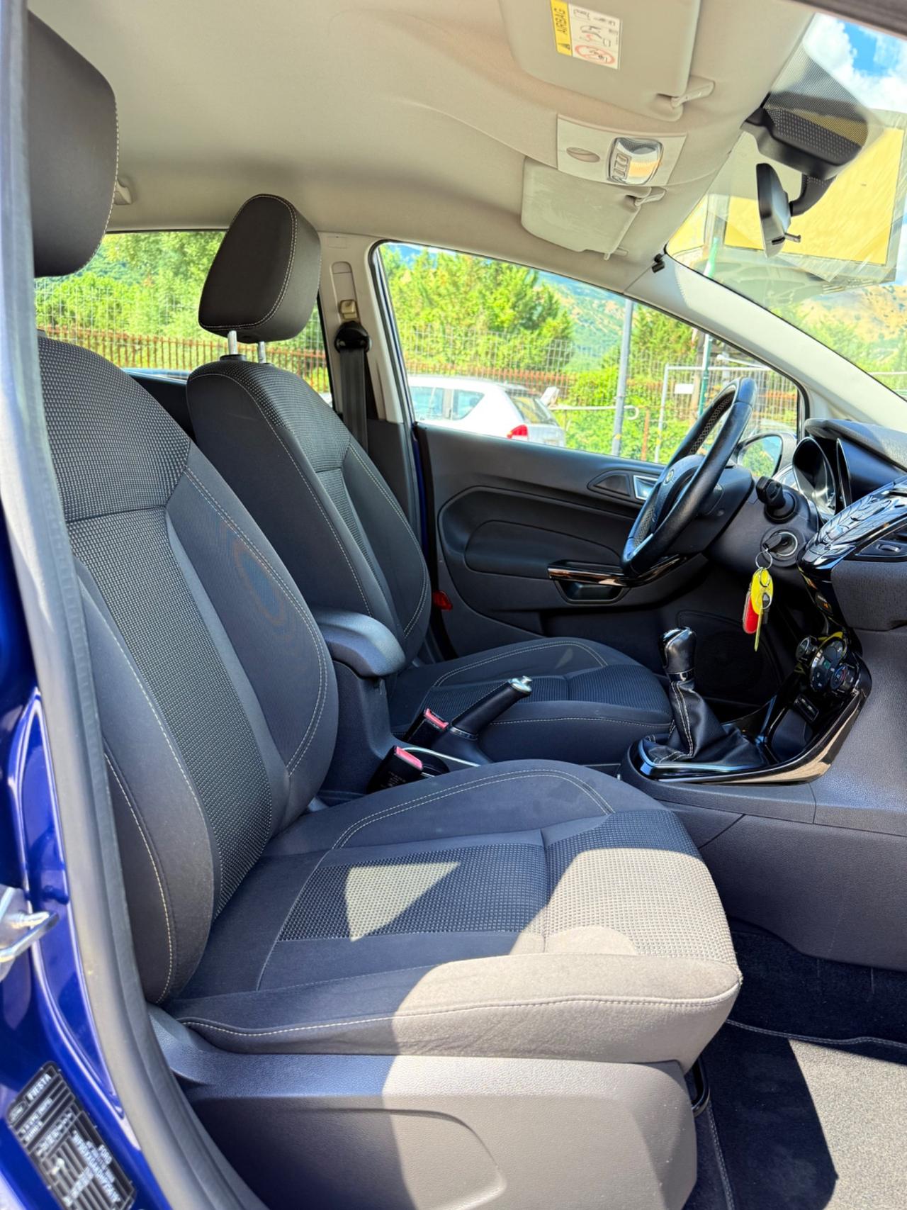 Ford Fiesta 1.4 5 porte Bz.- GPL Black & White Edition