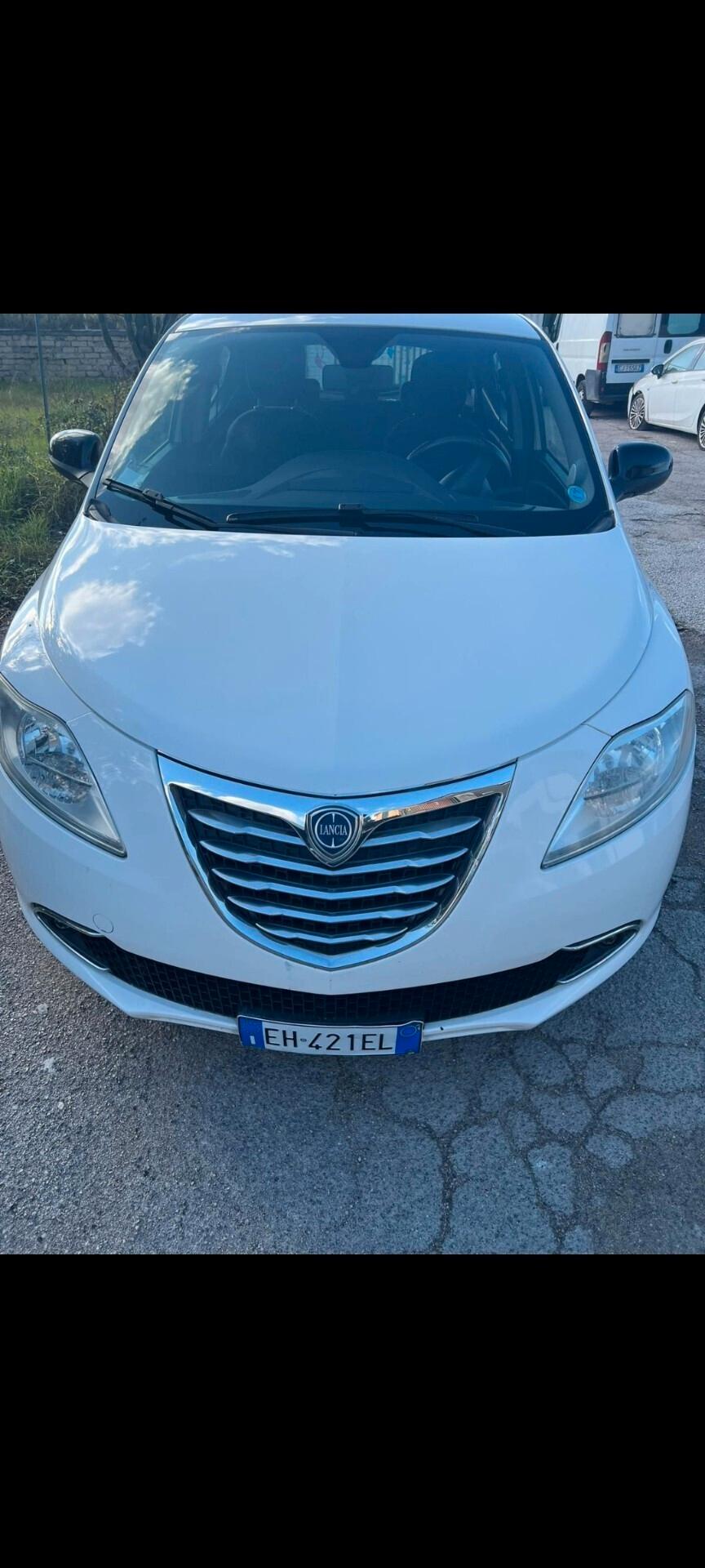 Lancia Ypsilon 1.3 MJT 16V 95 CV 5 porte S&S Platinum