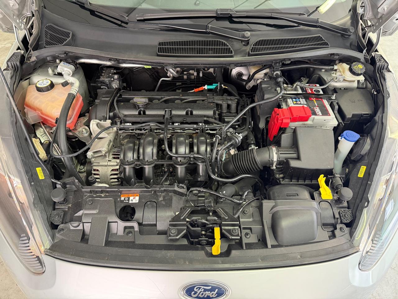 Ford Fiesta 1.2 60CV 5 porte Titanium