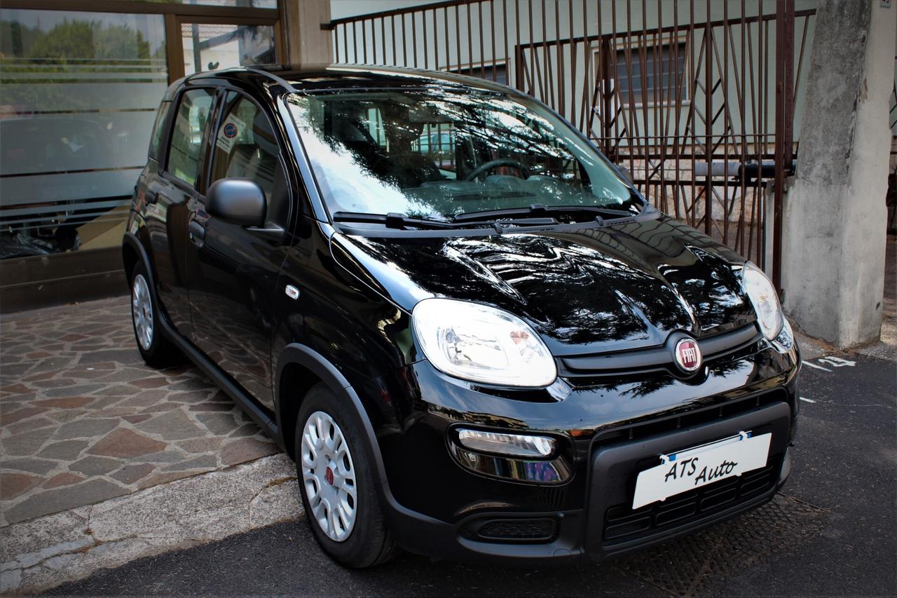 Fiat Panda 1.0 FireFly S&S Hybrid City Life 12.000 km