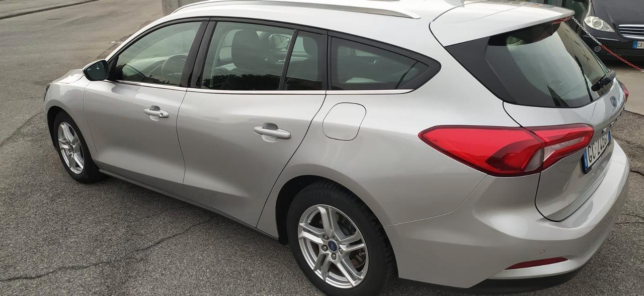 Ford Focus 1.5 EcoBlue 120 CV automatico SW Business Co-Pilot