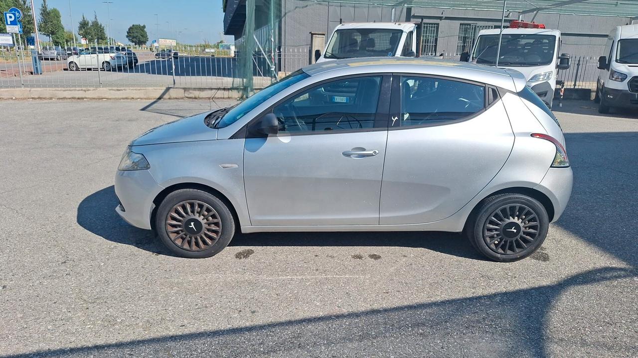 Lancia Ypsilon 1.2 69 CV 5 porte Elefantino