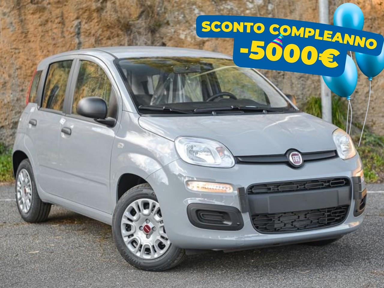 Fiat Panda 1.0 FireFly S&S Hybrid