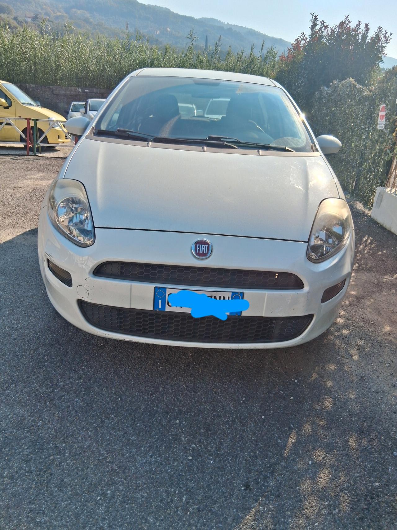 Fiat Punto 1.2 8V 5 porte