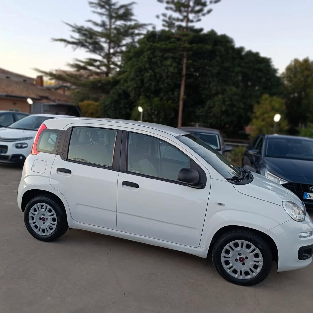 Fiat Panda 1.3 MJT EURO6 UNICPROPRIETA