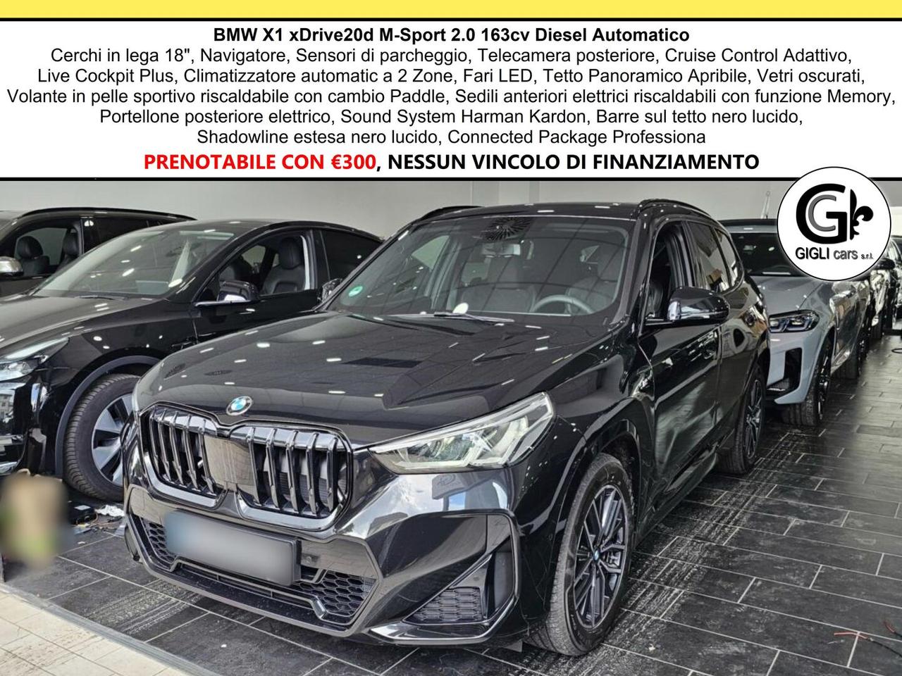 BMW X1 20d xDrive MSport Tetto Navi C.18" Cam M-Sport Nav