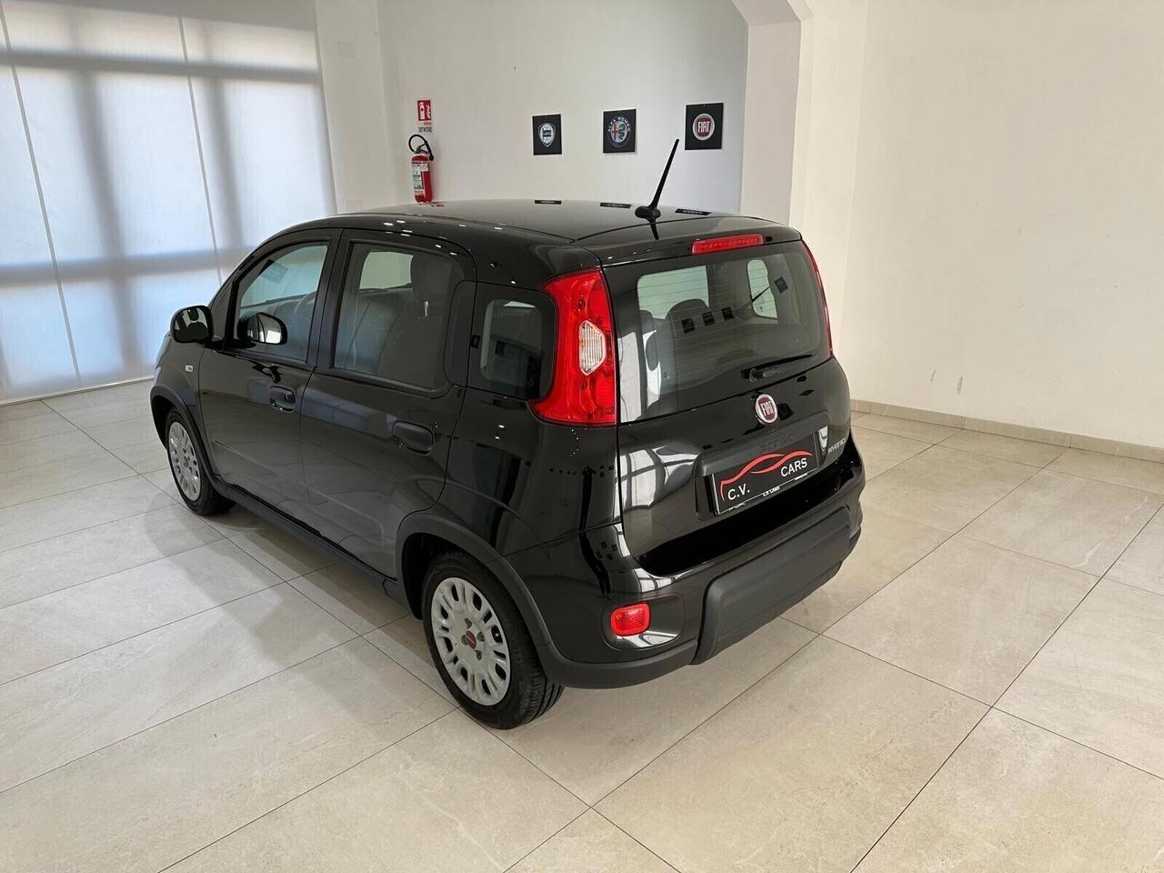 FIAT PANDA 1.0 FIREFLY S&S HYBRID GPL