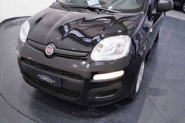 FIAT New Panda My25 1.0 FireFly S&S Hybrid #Pack City #5posto
