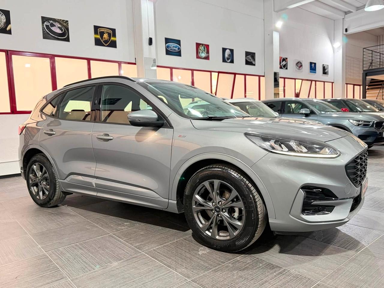 Ford Kuga 1.5 Ecoblue ST-Line 120cv Autom2022