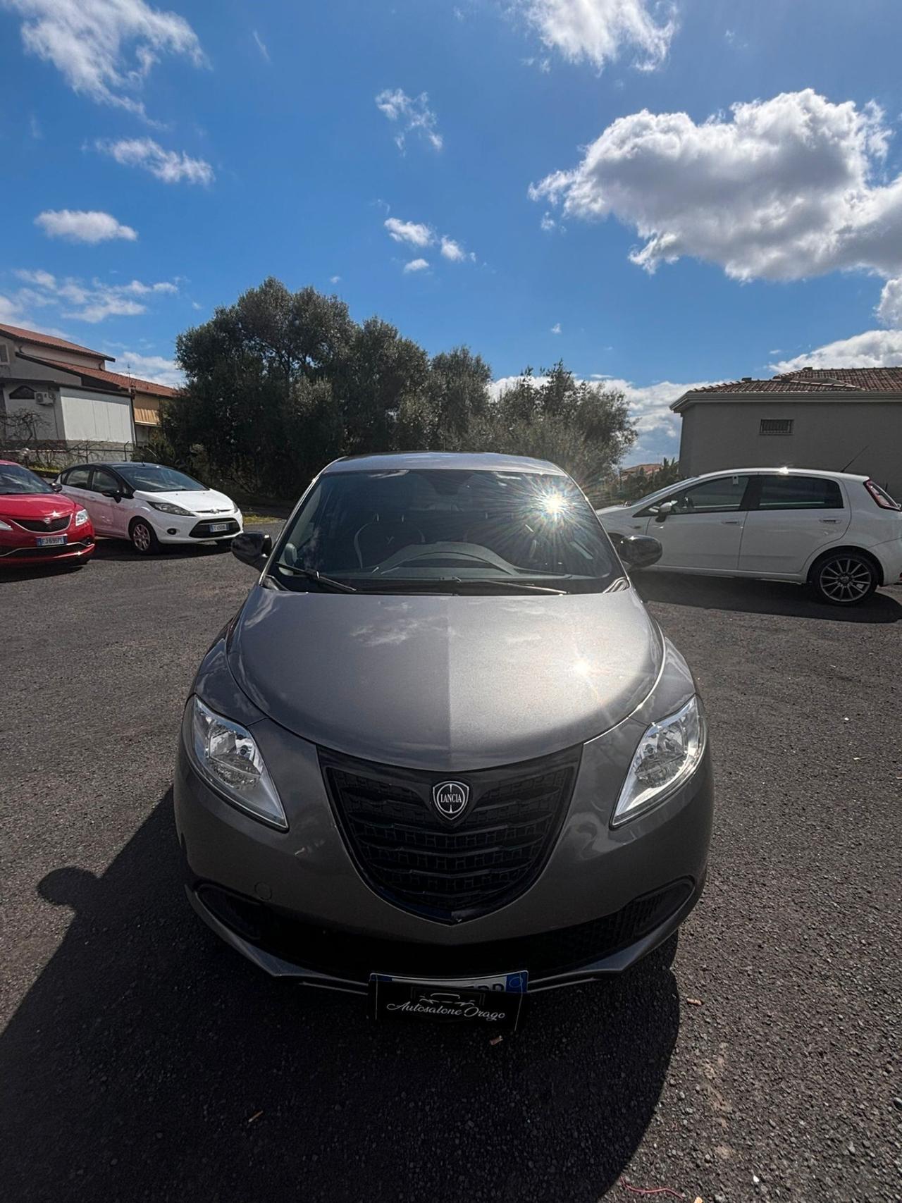 Lancia Ypsilon 1.3 MJT 16V 95 CV 5 porte S&S Elefantino