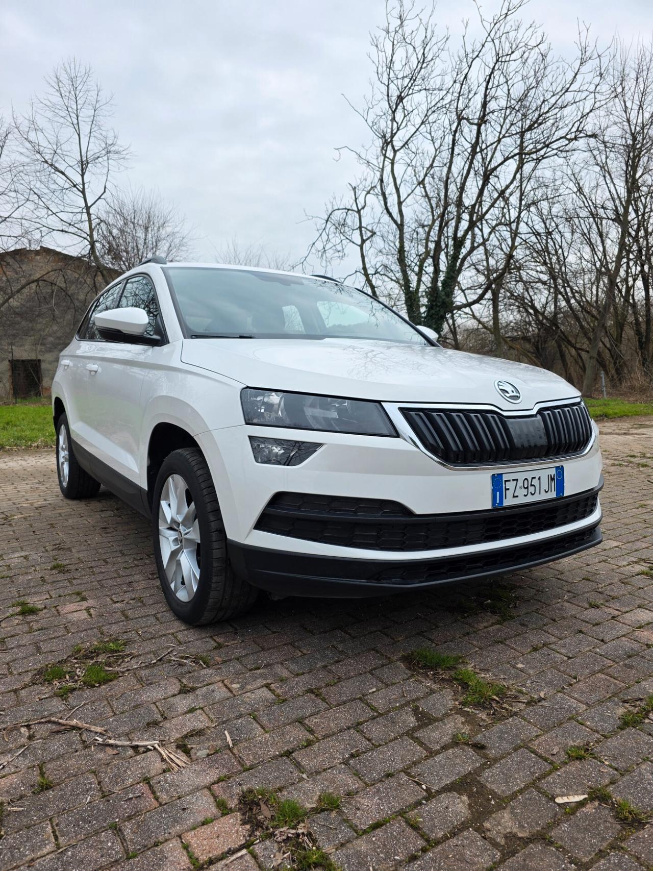 Skoda Karoq 1.6 TDI SCR DSG Ambition