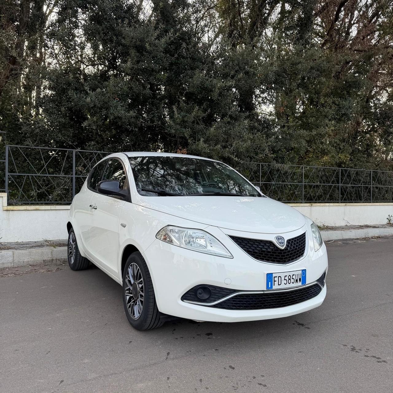 Lancia Ypsilon 1.2 69 CV 5 porte Gold