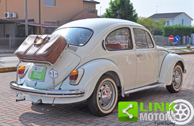VOLKSWAGEN Maggiolino 11/D11