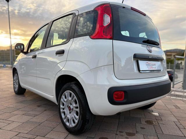 FIAT Panda 1.2 69cv E6d-Temp