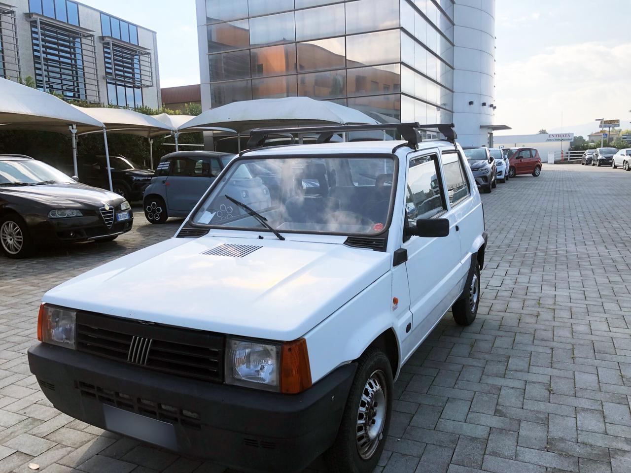 Fiat Panda 1100 i.e. cat Young