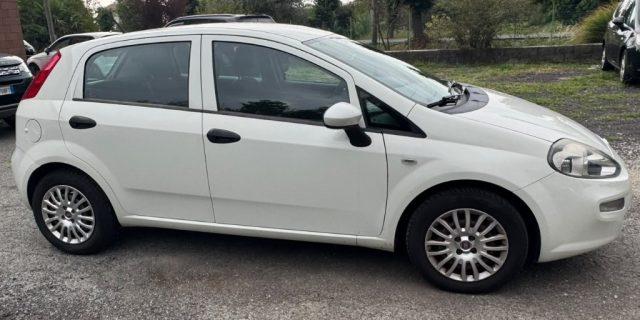 FIAT Punto 1.2 8V 5 porte Lounge GPL