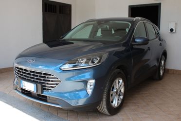 Ford Kuga 2.0 EcoBlue Hybrid 150 CV 2WD Titanium Business