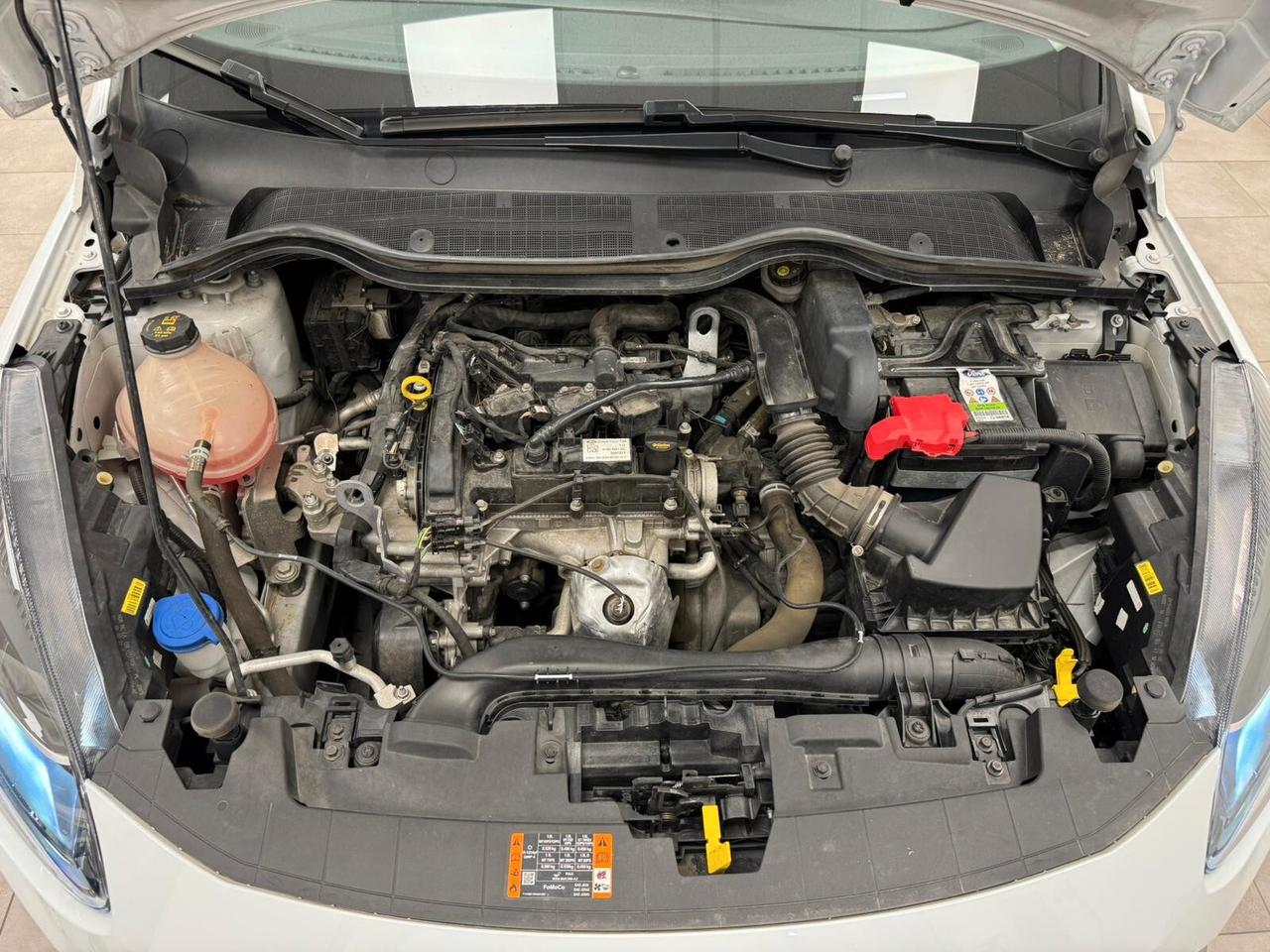 Ford Fiesta 1.1 75 CV 5 porte Titanium