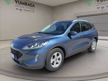FORD Kuga 1.5 ecoblue Titanium 2wd 120cv del 2021