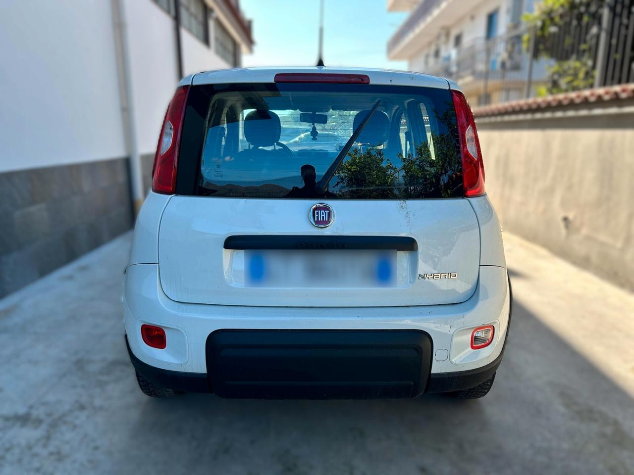 Fiat New Panda 1.0 Hybrid - 2024 Incidentata