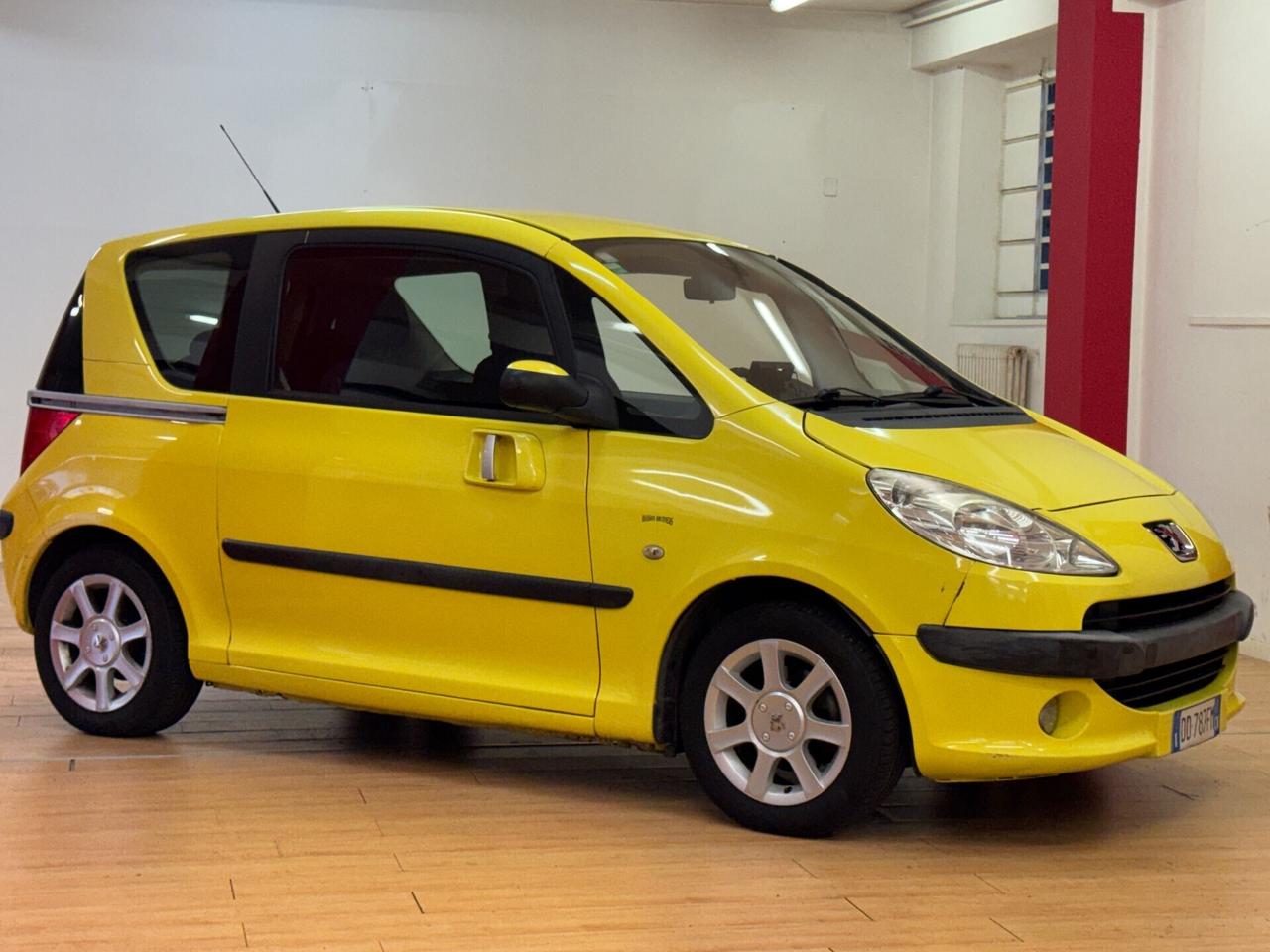 Peugeot 1007 1.6 Trendy Automatica Tutti i lavori eseguiti