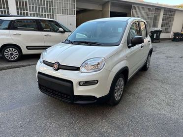 Fiat Panda 1.0 Hybrid 70cv Radio Bluetooth 36 Rate da 177,95