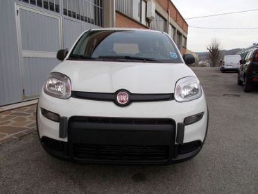 FIAT Panda 1.2 GPL KM. ZERO 338.7575187 MASSARI MARCO